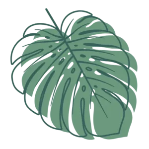 MindfulZöld Rólunk & Kapcsolat - Miben hiszek?